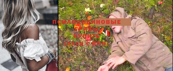 прущая мука Володарск