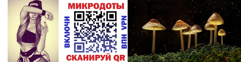 Псилоцибиновые грибы мухоморы  мега tor  Томск 